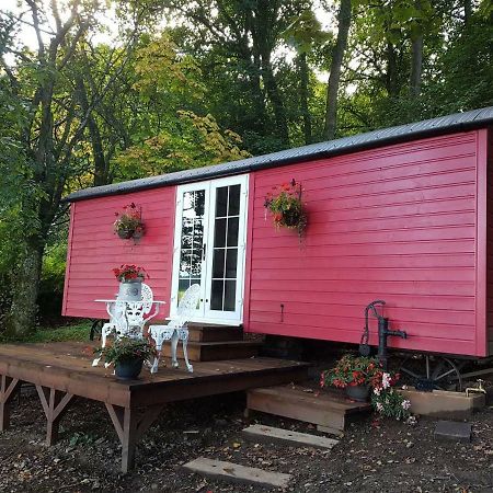 Borthwickbrae Shepherd'S Hut Hawick Εξωτερικό φωτογραφία