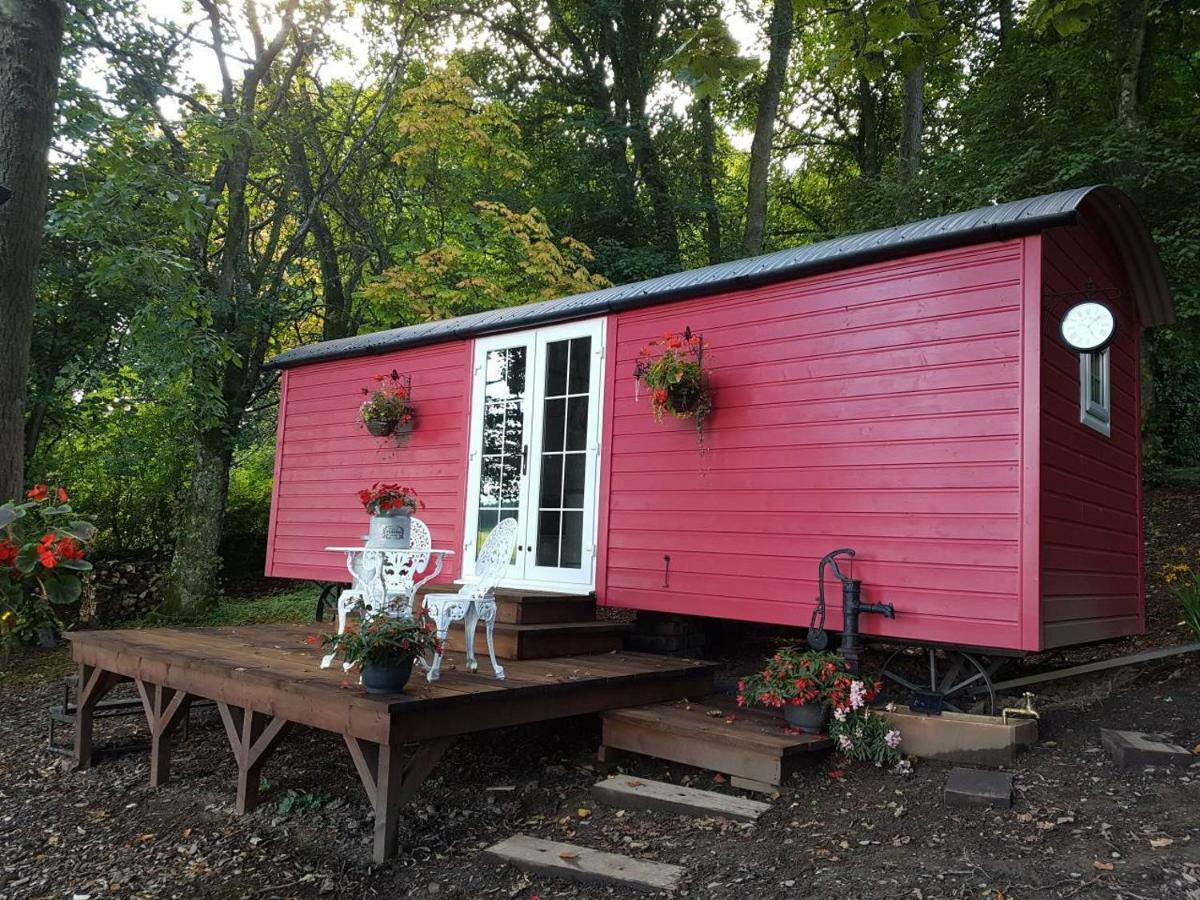 Borthwickbrae Shepherd'S Hut Hawick Εξωτερικό φωτογραφία