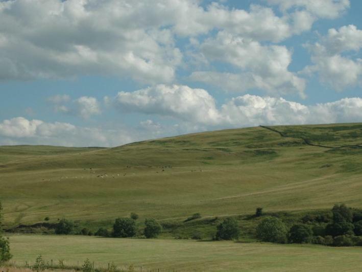 Borthwickbrae Shepherd'S Hut Hawick Εξωτερικό φωτογραφία